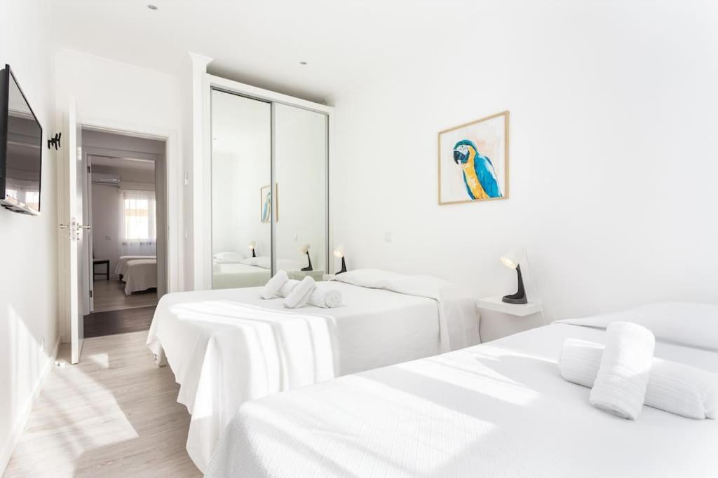 Blife Farensya Private Rooms Distretto di Distretto di Faro Esterno foto
